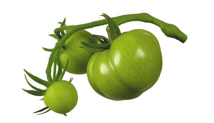 greenTomato