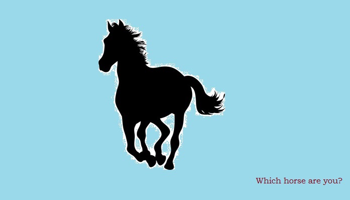 whch-horse