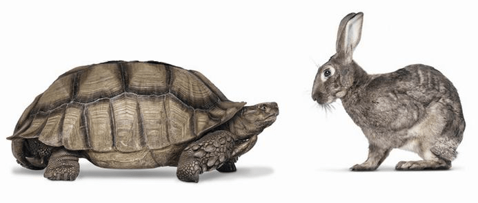 trotoise-hare