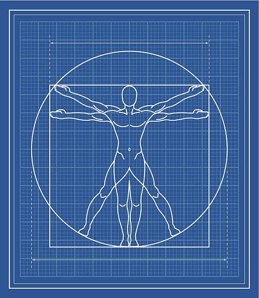 Vitruvian Man blueprint.